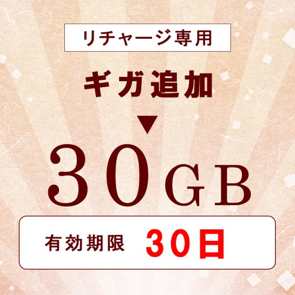 画像1: 【リチャージ専用】日本国内 Docomo MVNO 30GB/30日 データ通信用 (1)