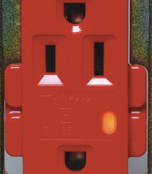 画像2: ML医用接地埋込ダブルコンセント(C形) 通電表示ランプ付(チョコ) (2)